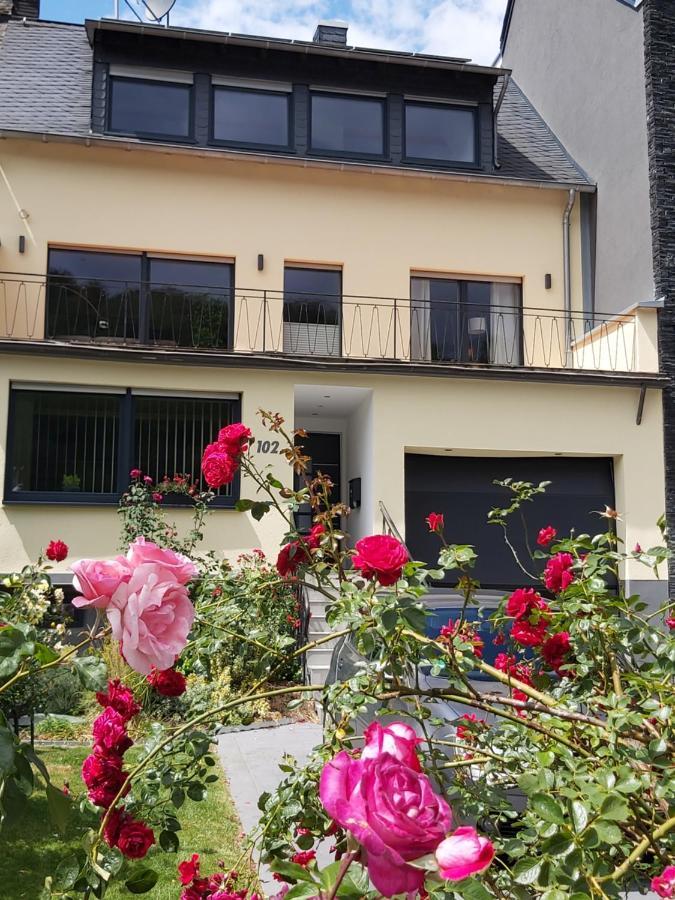 Ferienwohnung Zum Klosterruinenblick Kröv Exterior foto