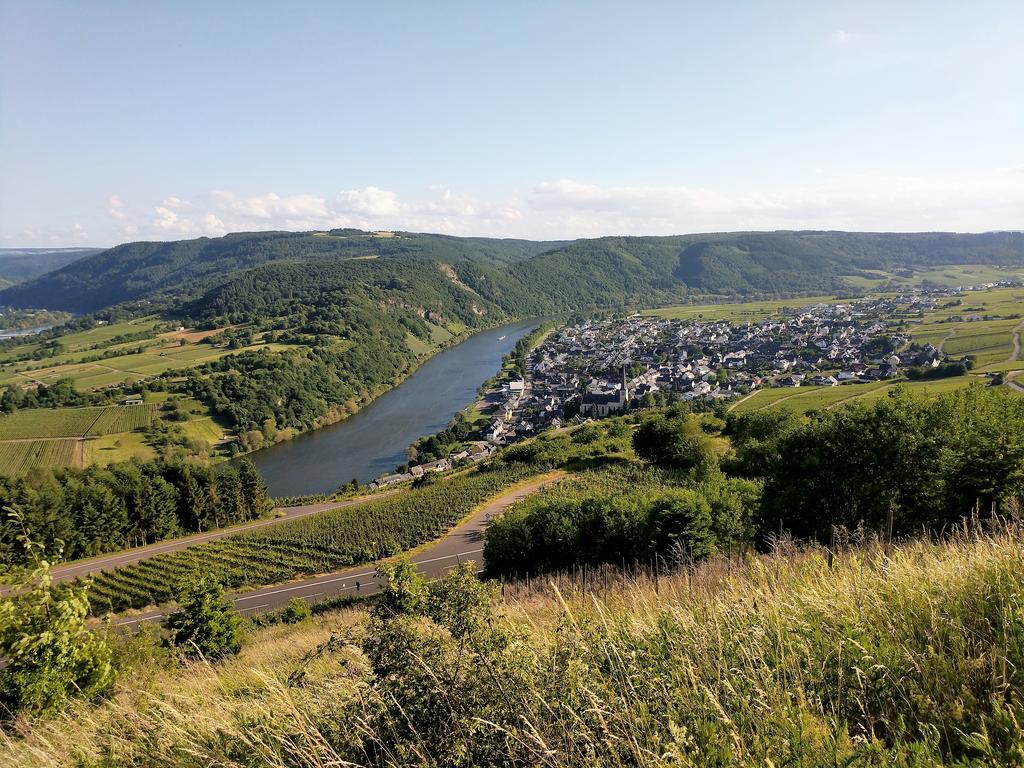 Ferienwohnung Zum Klosterruinenblick Kröv Exterior foto