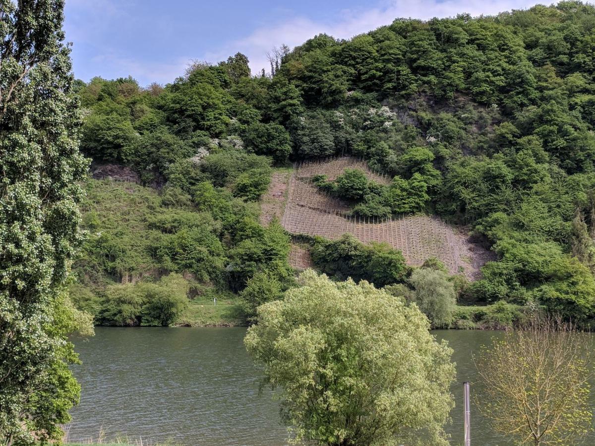 Ferienwohnung Zum Klosterruinenblick Kröv Exterior foto